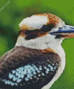 Kookaburra Close Up Diamond Painting