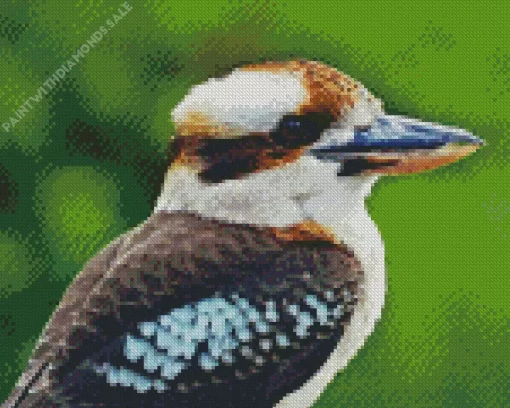 Kookaburra Close Up Diamond Painting