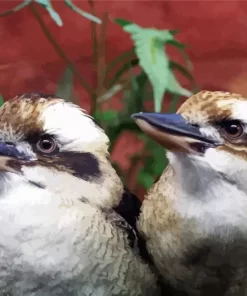 Kookaburra Couple Diamond Painting