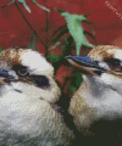 Kookaburra Couple Diamond Painting