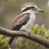 Kookaburra In Nature Diamond Painting