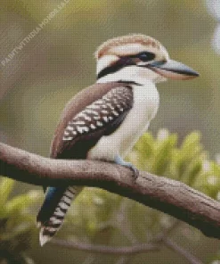 Kookaburra In Nature Diamond Painting