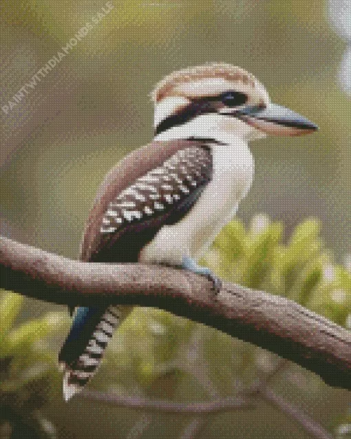 Kookaburra In Nature Diamond Painting