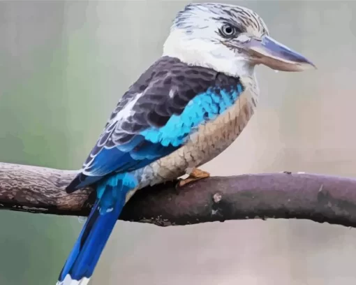 Kookaburra On A Branch Diamond Painting