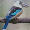 Kookaburra On A Branch Diamond Painting