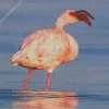 Lesser Flamingo Diamond Painting