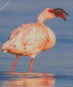 Lesser Flamingo Diamond Painting