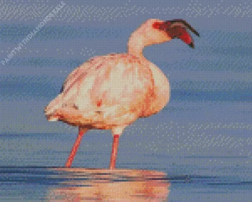 Lesser Flamingo Diamond Painting