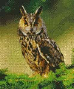 Long Eared Owl Diamond Painting