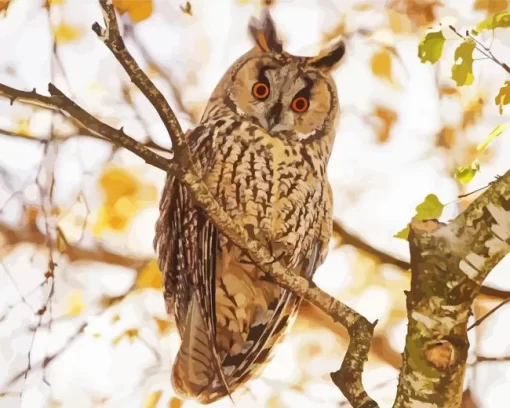 Long Eared Owl Bird Diamond Painting