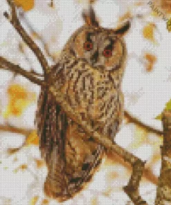 Long Eared Owl Bird Diamond Painting