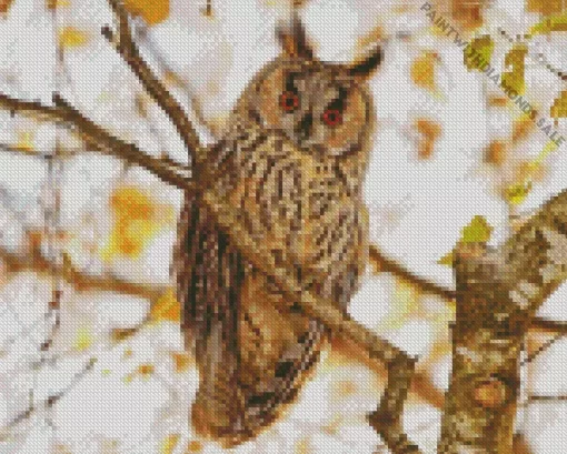 Long Eared Owl Bird Diamond Painting