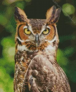 Long Eared Owl Bird Diamond Painting