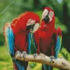 Macaw Bird Couple Diamond Painting