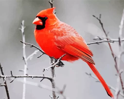 Male Cardinal Perched In A Tree Diamond Painting