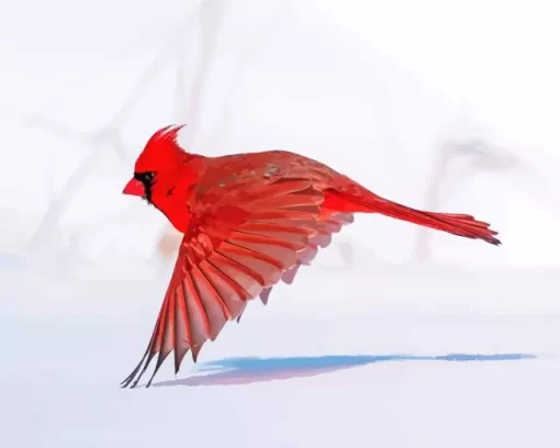 Northern Cardinal Diamond Painting