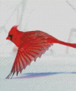 Northern Cardinal Diamond Painting