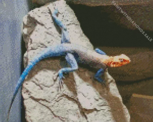 Orange Agama Diamond Painting