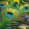 Peacock Feathers Diamond Painting