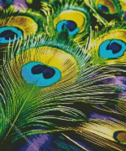 Peacock Feathers Diamond Painting