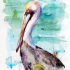 Pelican Bird Art Diamond Painting