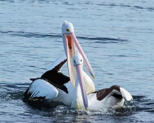 Pelican Couple Diamond Painting