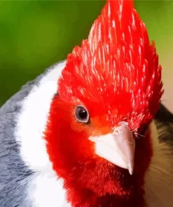 Red Crested Cardinal Closeup Diamond Painting