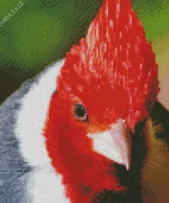 Red Crested Cardinal Closeup Diamond Painting