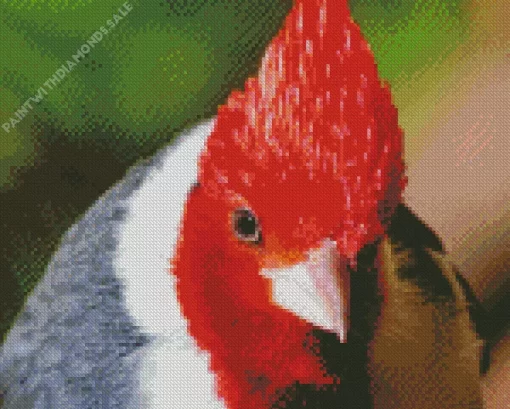 Red Crested Cardinal Closeup Diamond Painting