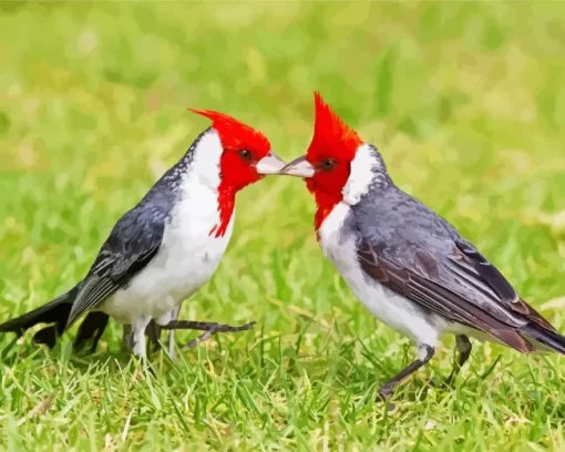 Red Crested Cardinal Couple Diamond Painting