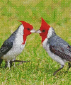 Red Crested Cardinal Couple Diamond Painting