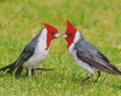 Red Crested Cardinal Couple Diamond Painting