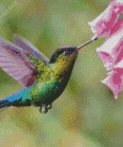 Rivolis Hummingbird Diamond Painting