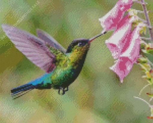 Rivolis Hummingbird Diamond Painting