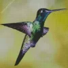 Rivolis Hummingbird Flying Diamond Painting