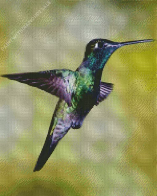 Rivolis Hummingbird Flying Diamond Painting