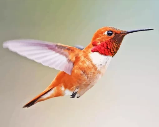 Rufous Hummingbird Diamond Painting