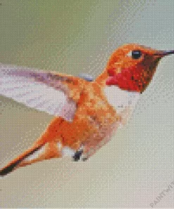 Rufous Hummingbird Diamond Painting