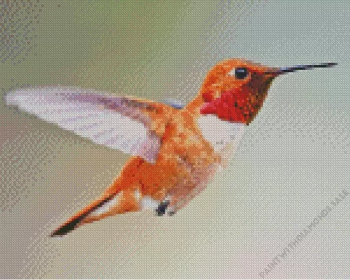 Rufous Hummingbird Diamond Painting