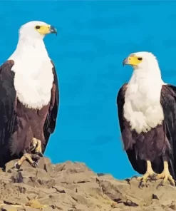 Sea Eagles Diamond Painting