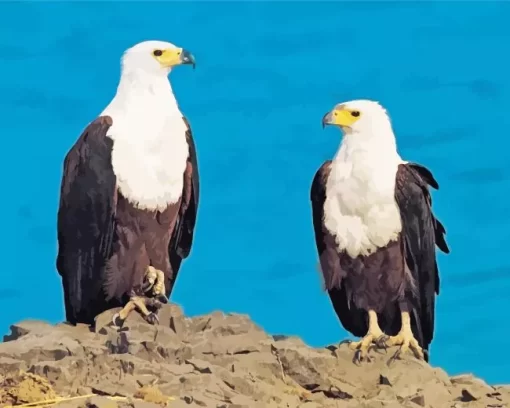 Sea Eagles Diamond Painting