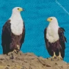 Sea Eagles Diamond Painting