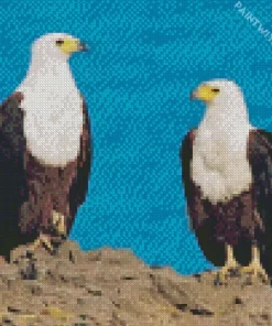 Sea Eagles Diamond Painting