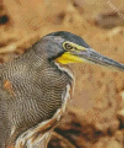 Tiger Herons Diamond Painting