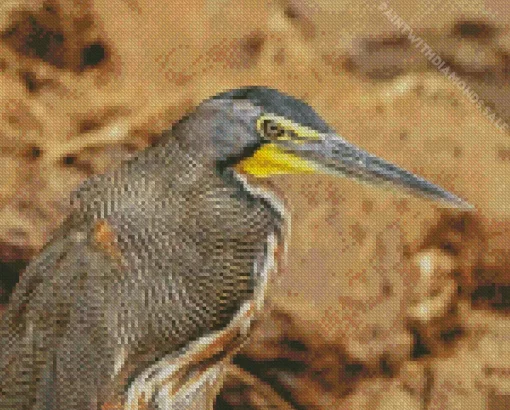 Tiger Herons Diamond Painting