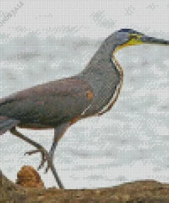 Tiger Herons Bird Diamond Painting