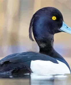 Tufted Duck Diamond Painting