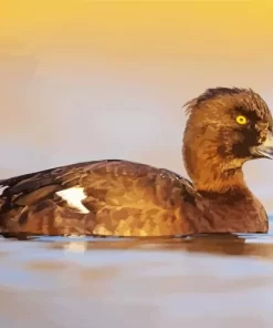 Tufted Duck Bird Diamond Painting