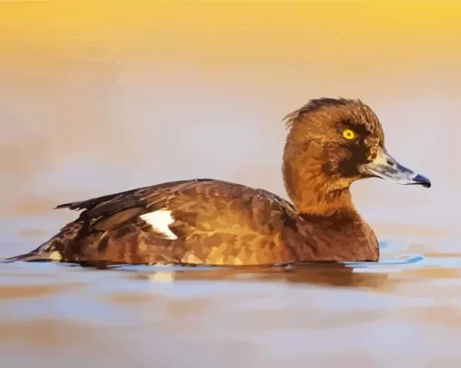 Tufted Duck Bird Diamond Painting