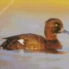 Tufted Duck Bird Diamond Painting